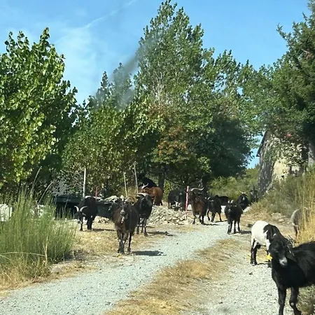 Fraga Da Estrela, Al Serra Da Estrela *